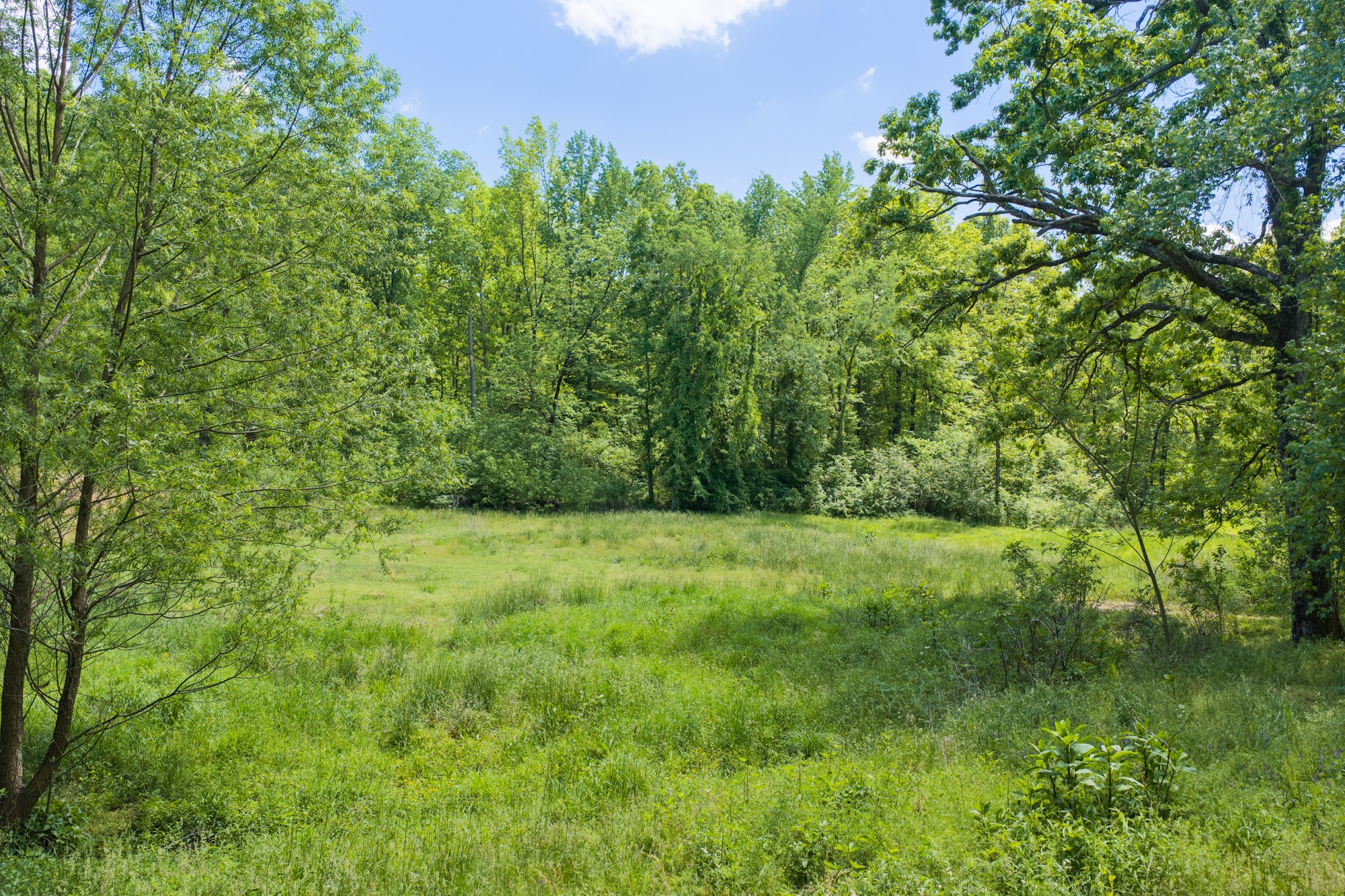0 Mebane Cemetery Road Huntingdon, TN 38344 - Photo 7 of 14 a view of outdoor space and yard