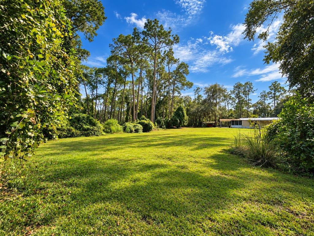 126 Bayberry Road Georgetown, FL 32139 - Photo 37 of 43 Gallery Image 37