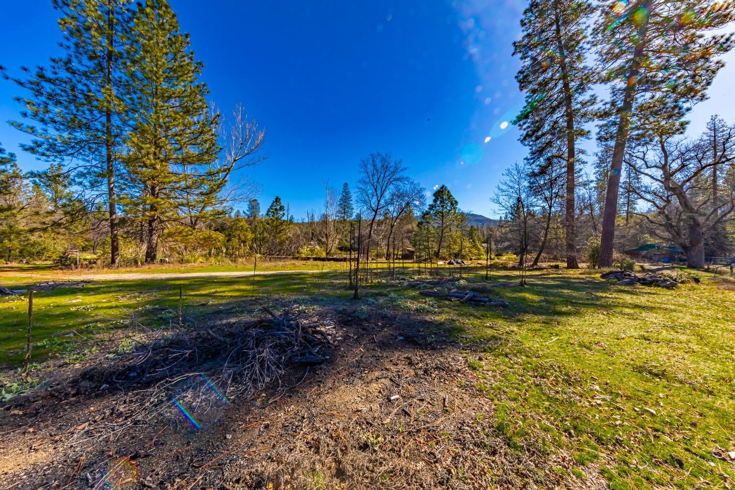 0 Wortham Road Oakhurst, CA 93644 - Photo 10 of 21 a view of a yard with swimming pool