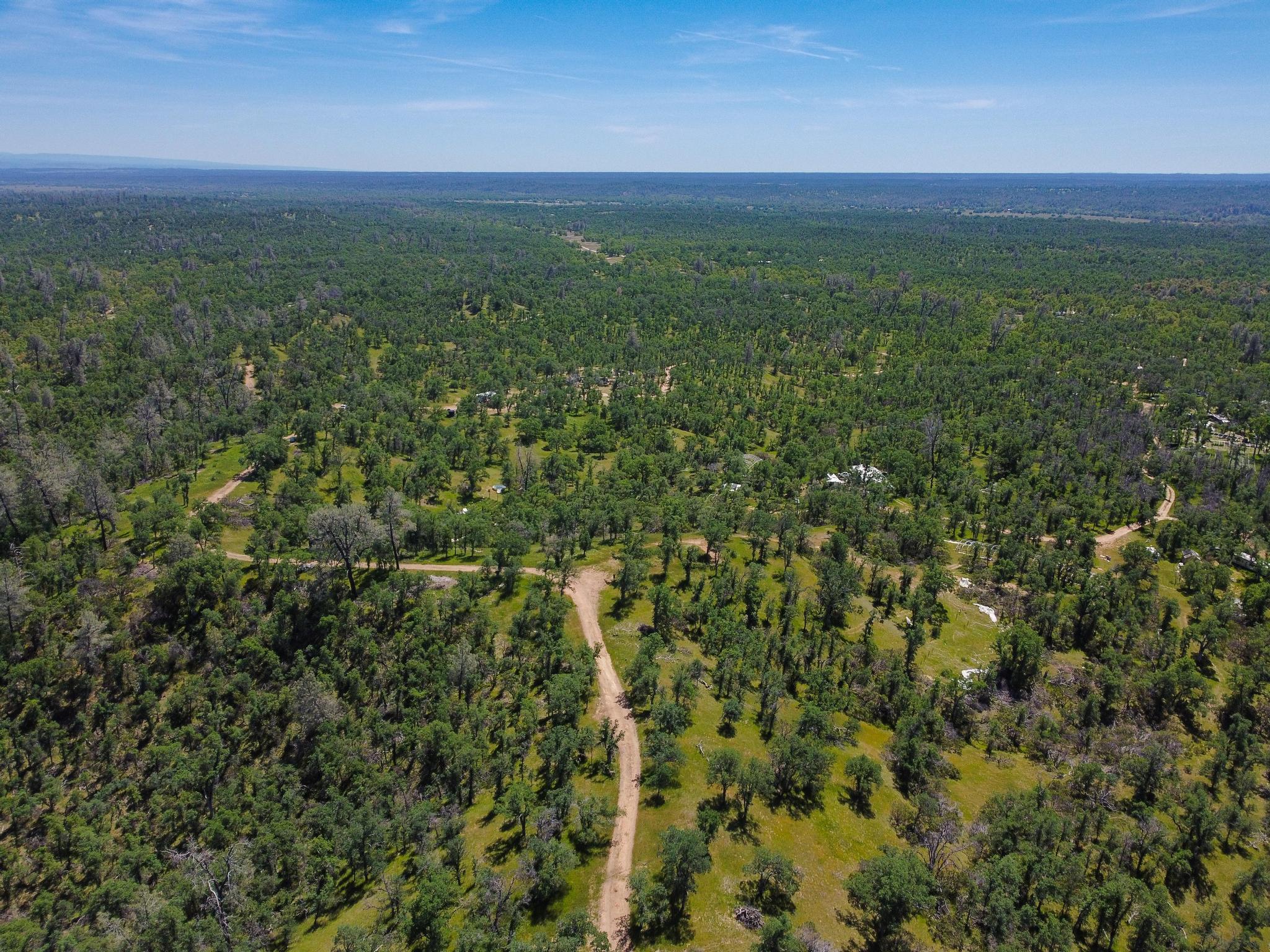 40 Two Feathers Road Igo, CA 96047 - Photo 15 of 16 DJI_0090