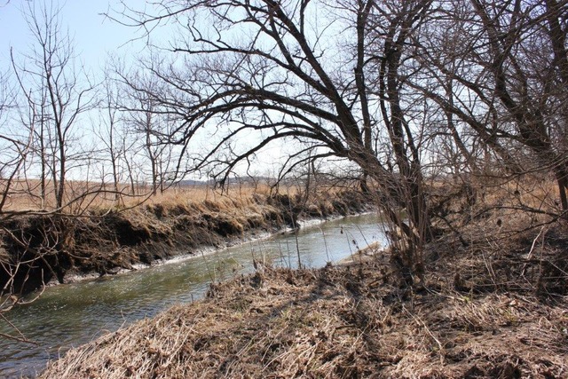 0 Covell Road Morrison, IL 61270 - Photo 3 of 6 a view of a lake with lots of trees
