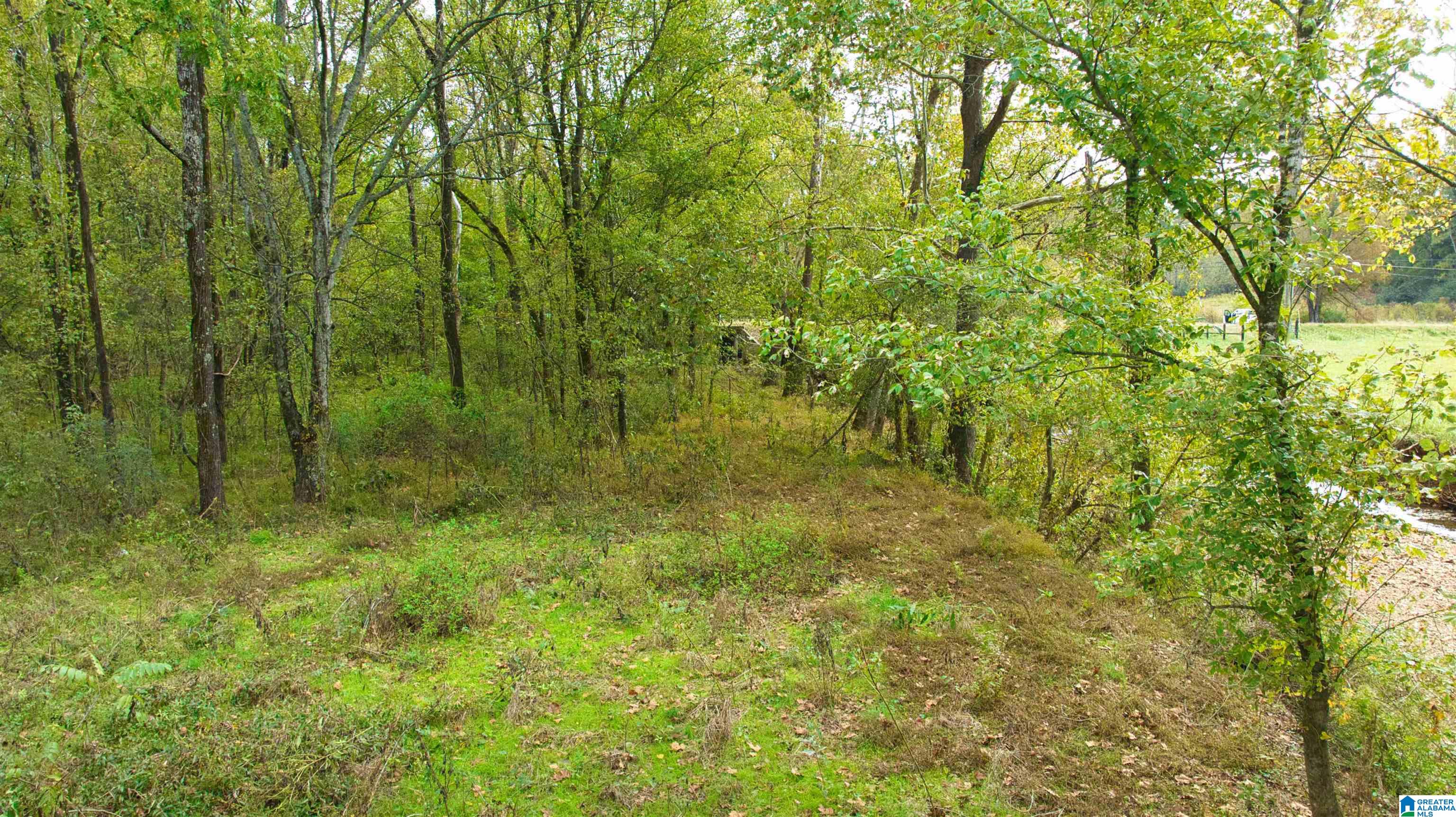 0 South Love Branch Road Toney, AL 35773 - Photo 18 of 26