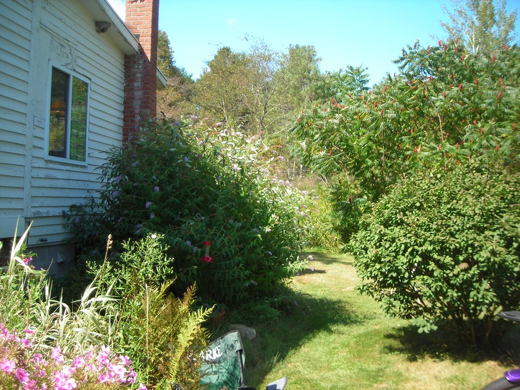363 Westhampton Road Northampton, MA 01062 - Photo 2 of 5