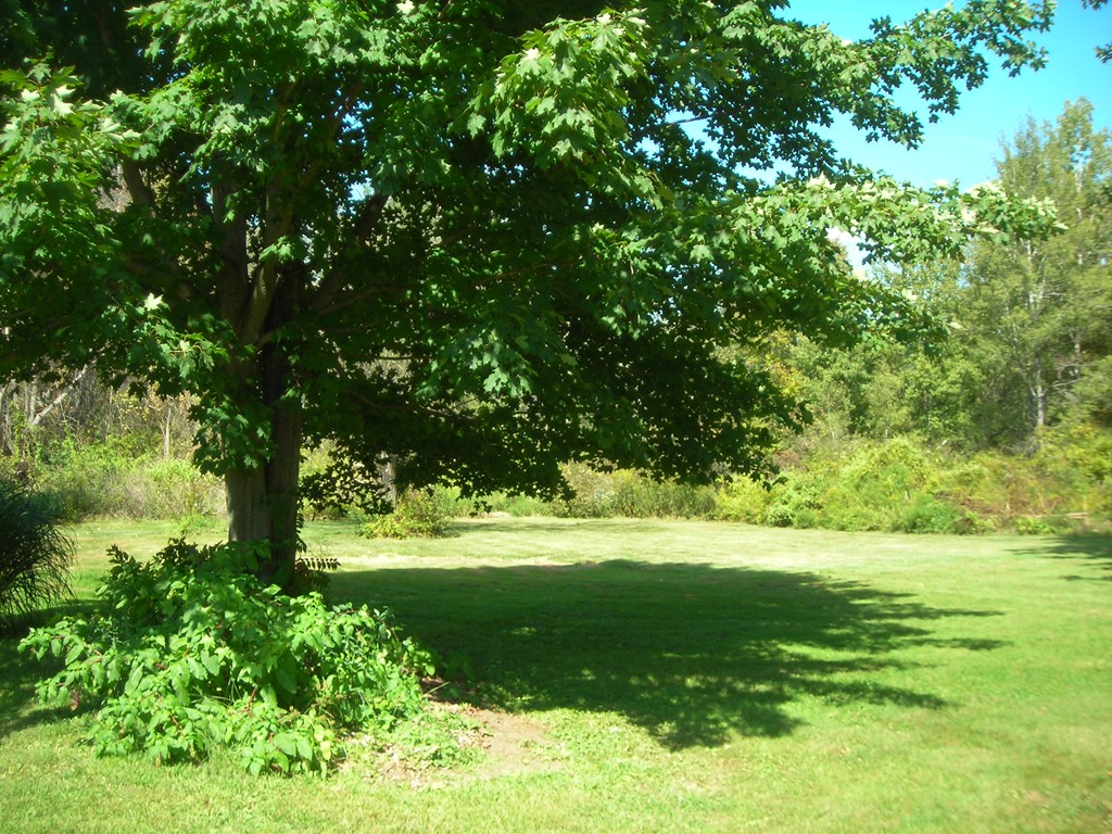 363 Westhampton Road Northampton, MA 01062 - Photo 4 of 5
