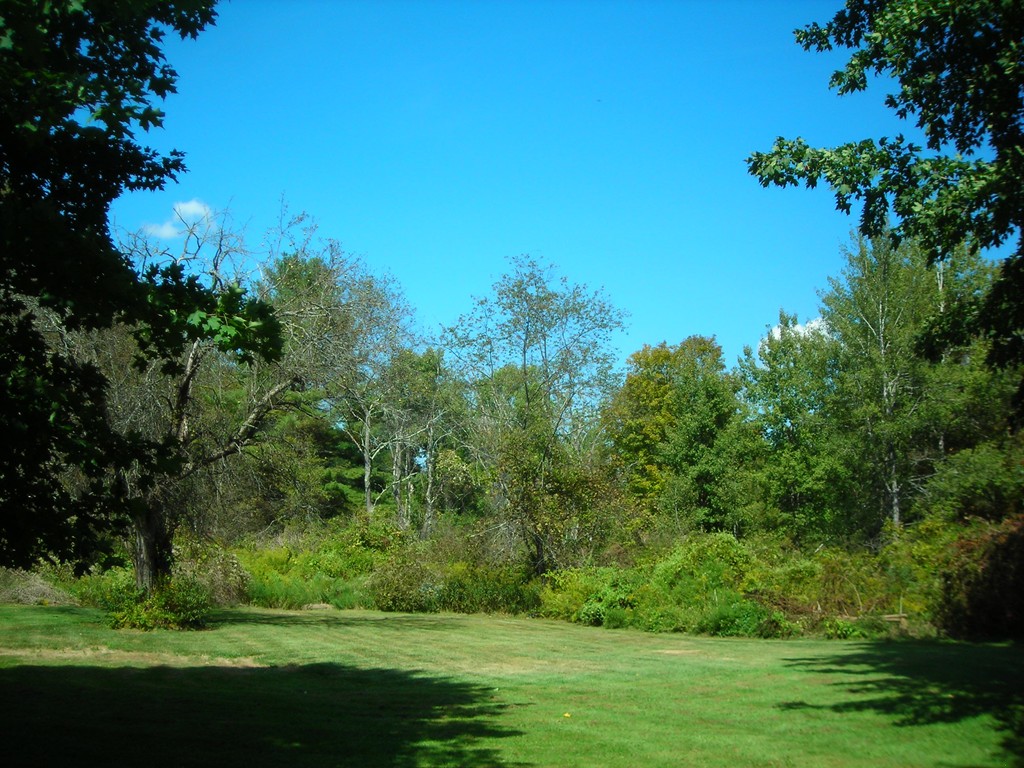 363 Westhampton Road Northampton, MA 01062 - Photo 5 of 5