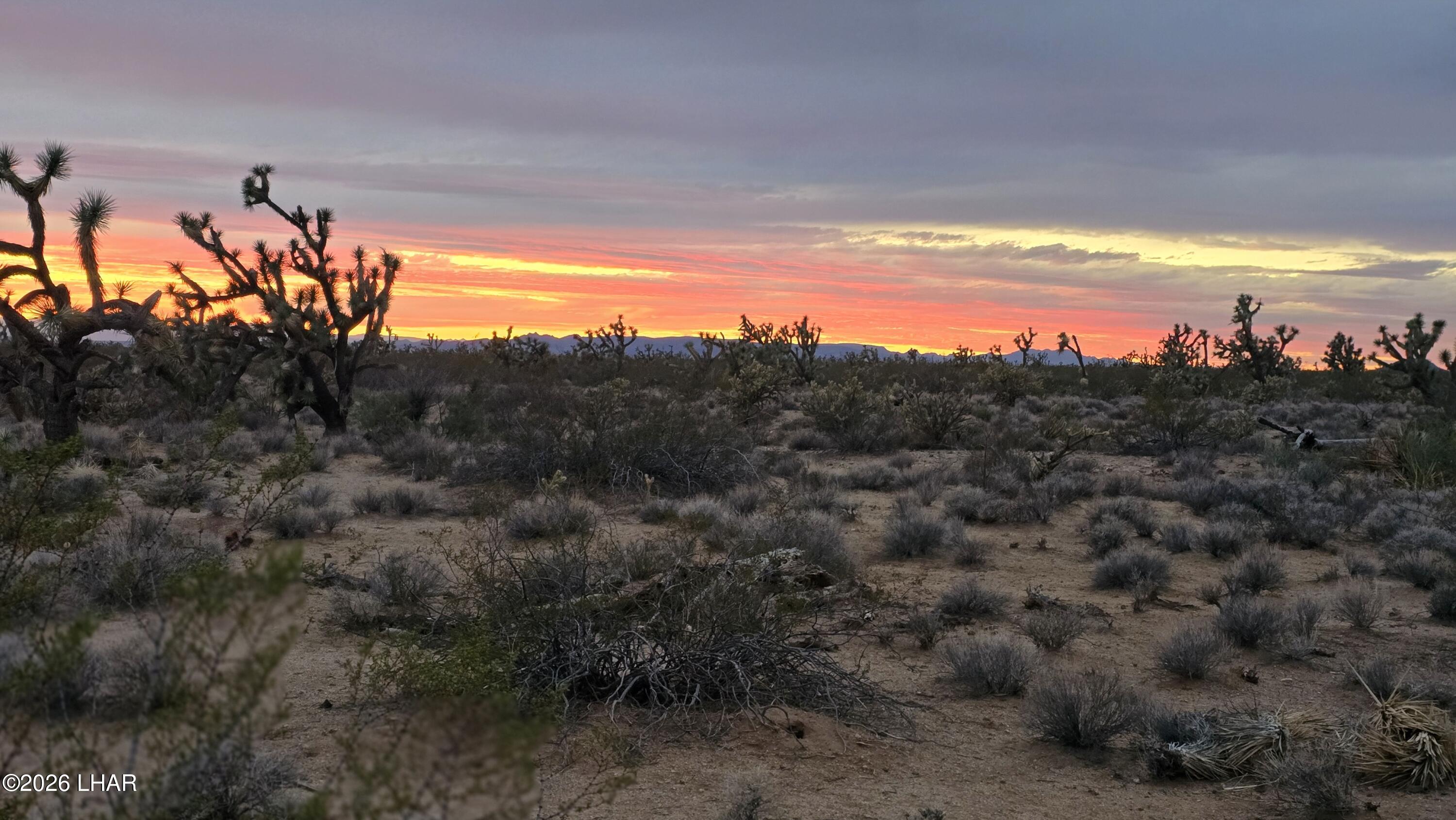 243-10-003 South Alamo Road Yucca, AZ 86438 - Photo 8 of 32 Sunset