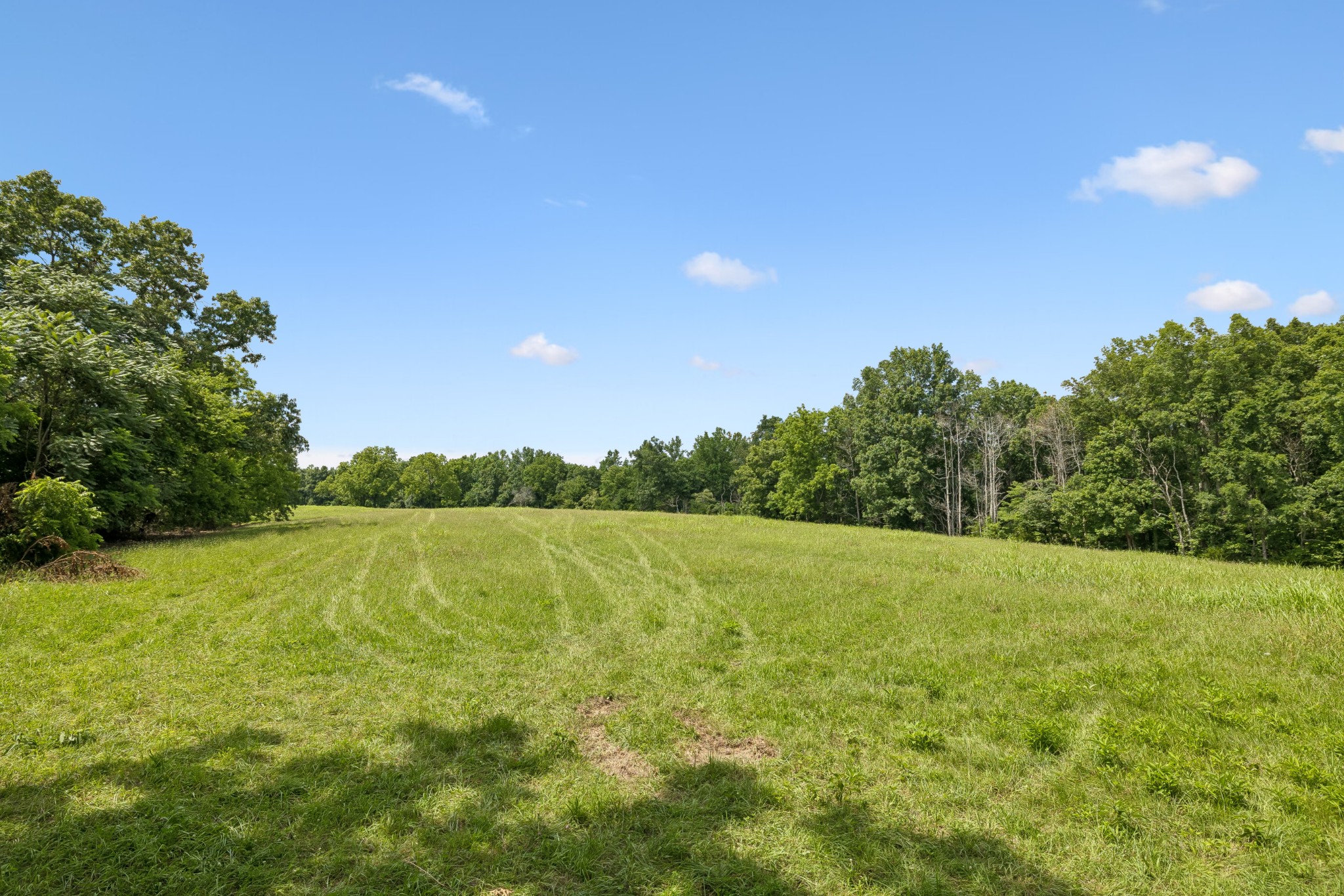 7700 Daugherty-Capley Road Bon Aqua, TN 37025 - Photo 2 of 15