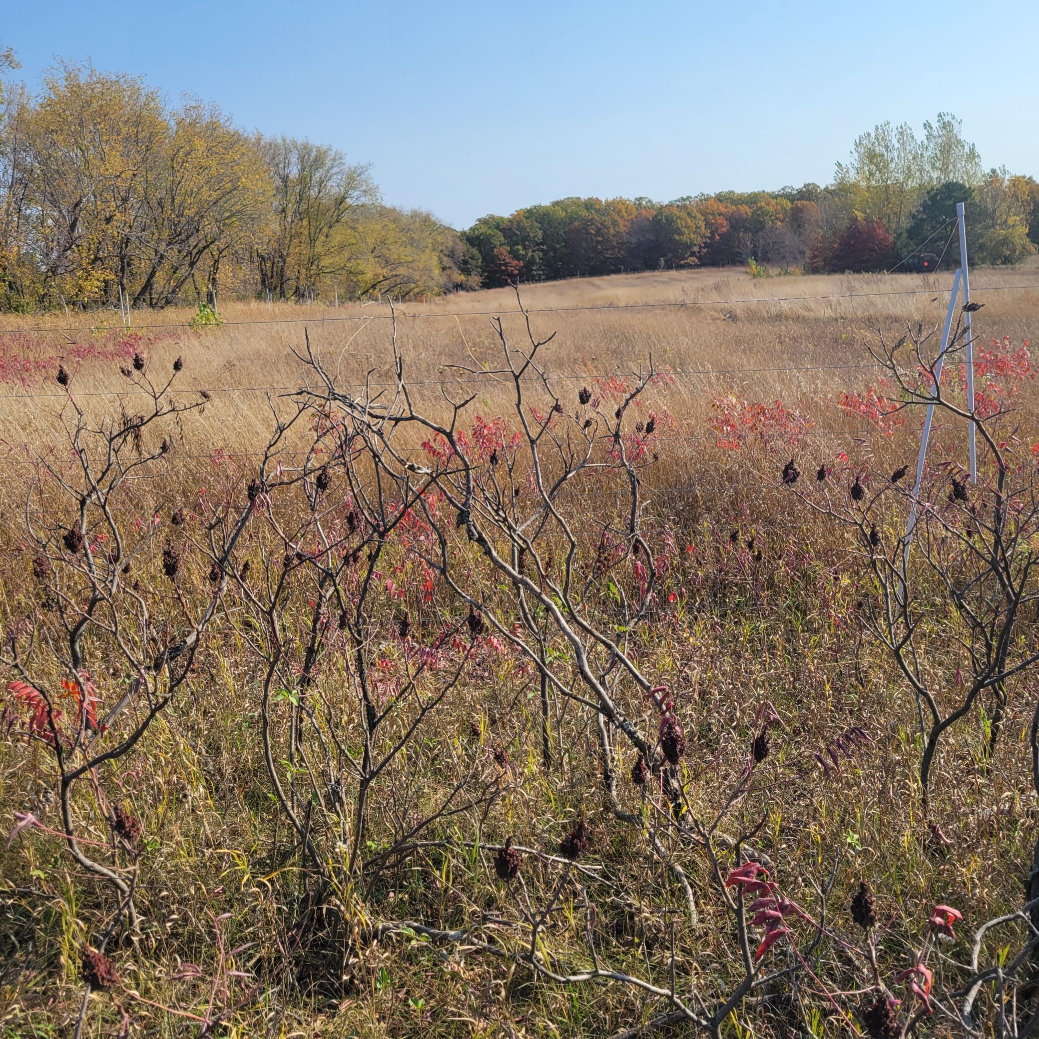 Tbd 447th Avenue Ottertail, MN 56571 - Photo 1 of 1