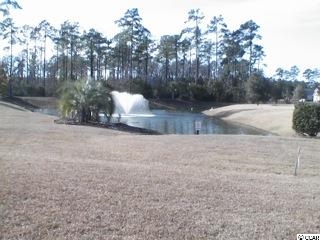 121 Sugar Loaf Lane Murrells Inlet, SC 29576 - Photo 13 of 15 Gallery Image 13