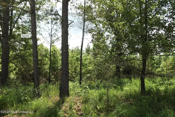 $21,000 | Randletown Road, Lexington, MS 39095