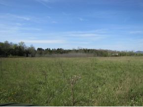 515 Billy Bible Road Greeneville, TN 37745 - Photo 13 of 24 Photo 13