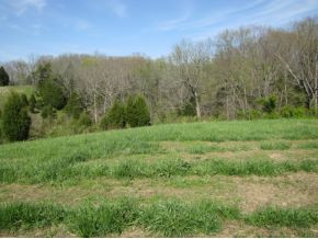 515 Billy Bible Road Greeneville, TN 37745 - Photo 15 of 24 Photo 15