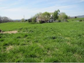 515 Billy Bible Road Greeneville, TN 37745 - Photo 2 of 24 Photo 2