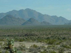 Cal Rd Cal Road Yucca, AZ 86438 - Photo 2 of 3 Additional Photo