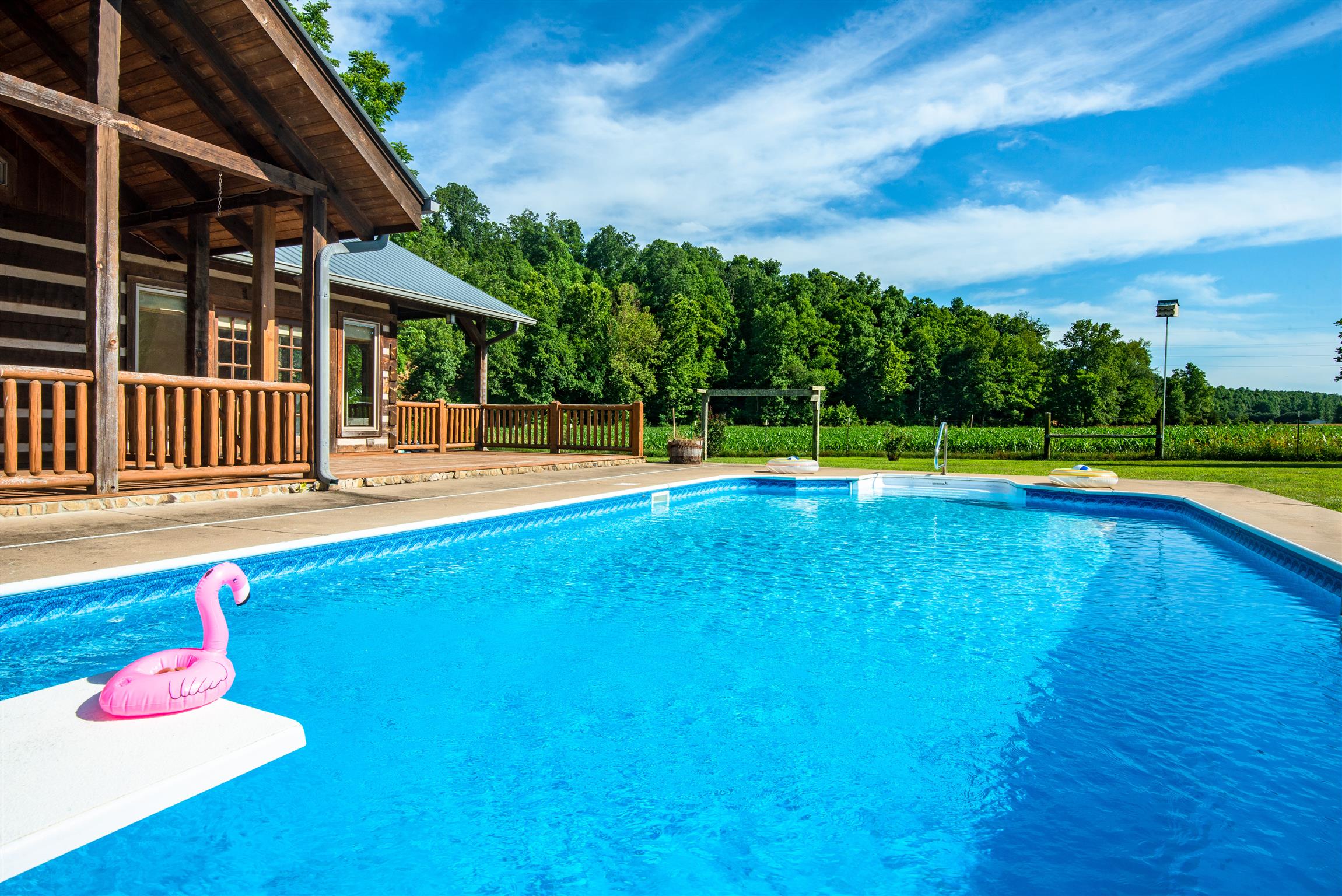 3198 Arnold Road Centerville, TN 37033 - Photo 22 of 30 In-ground pool adjacent to pastures and endless horizon