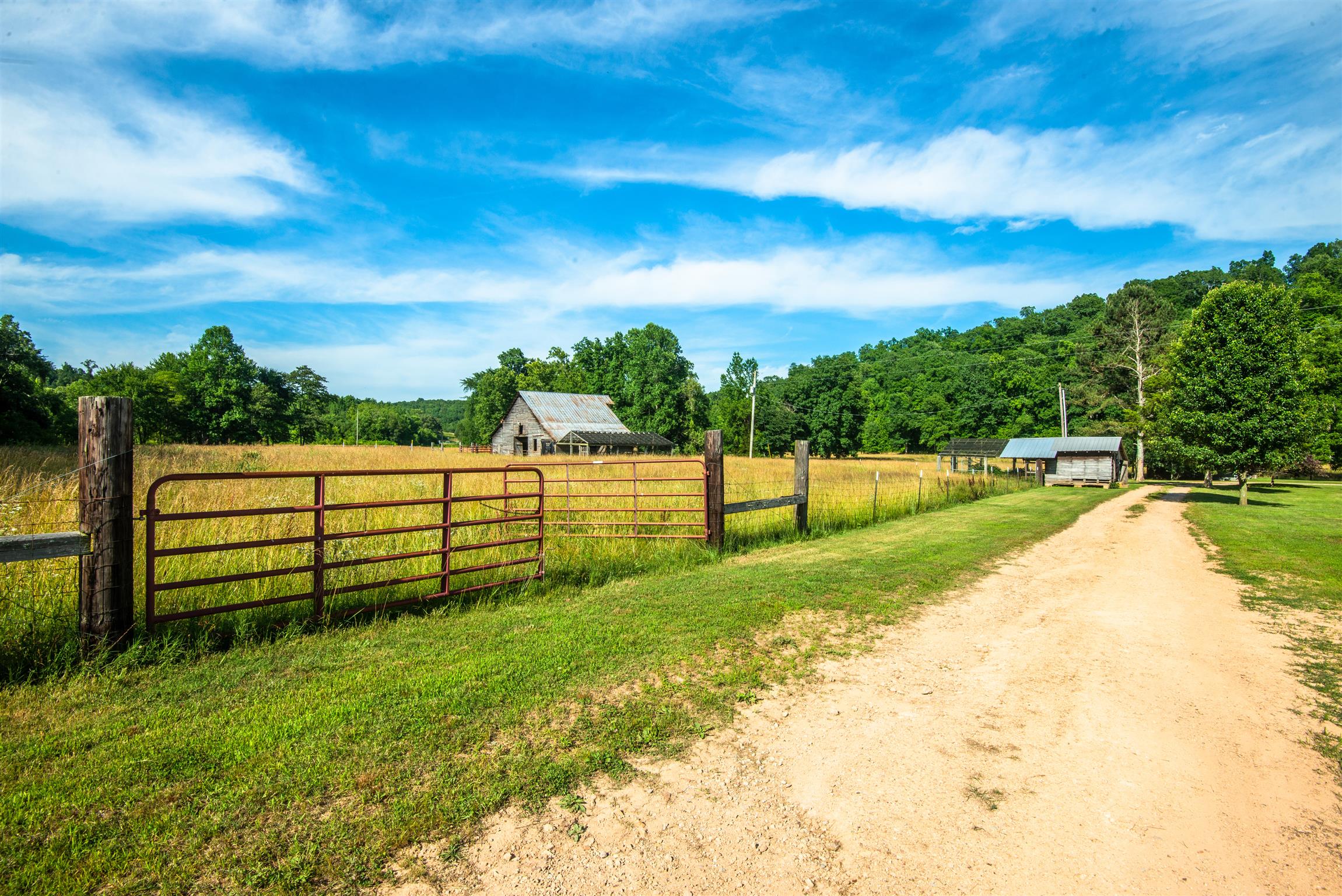 3198 Arnold Road Centerville, TN 37033 - Photo 24 of 30 Picturesque homestead with countless textures ~ all the feels!