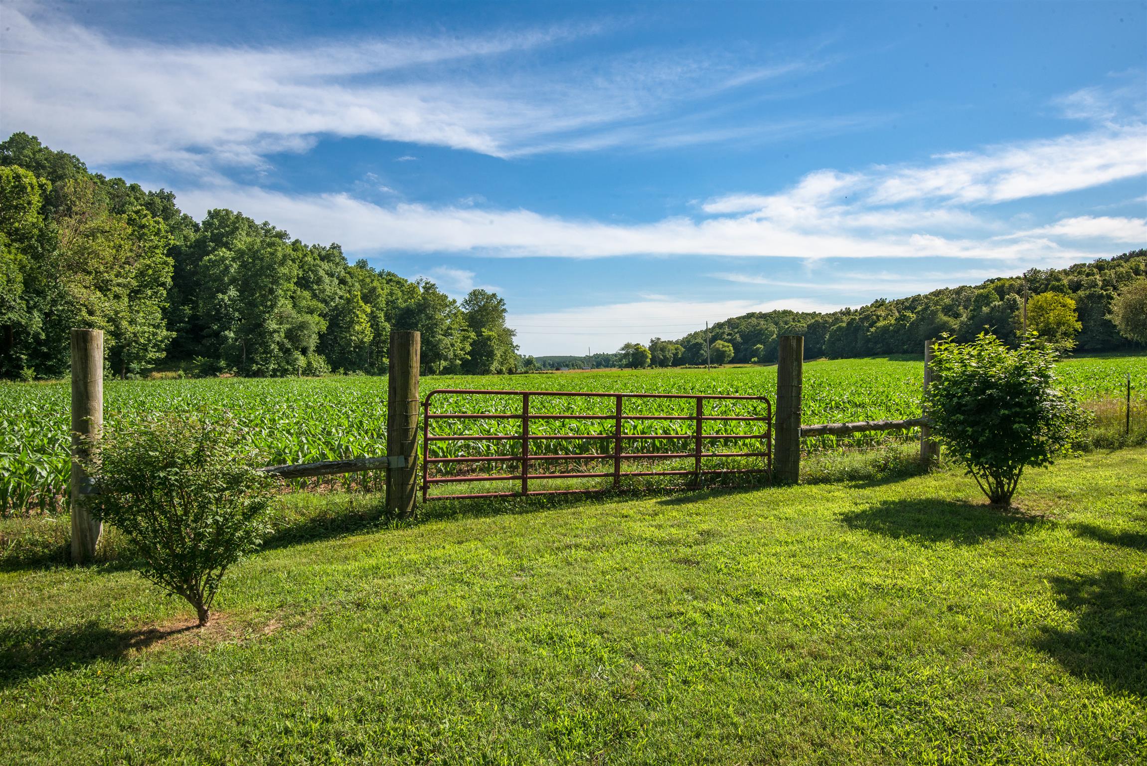 One of the Four pastures! 