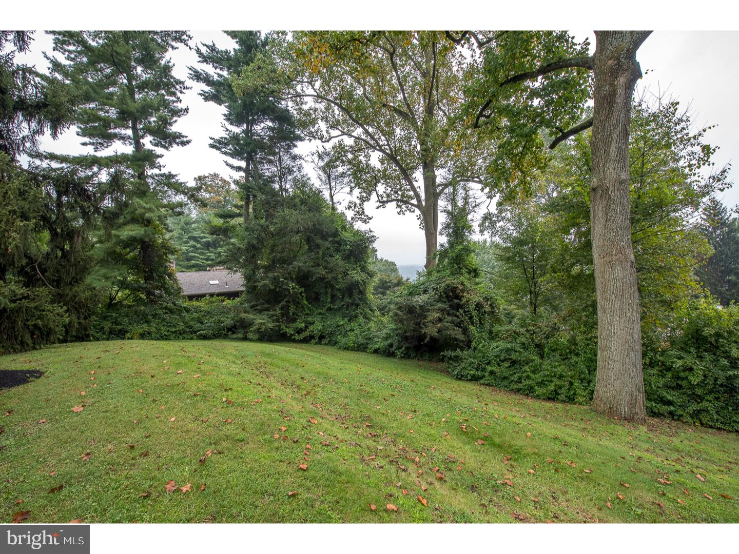 1208 County Line Road Wayne, PA 19087 - Photo 13 of 17 Back Yard