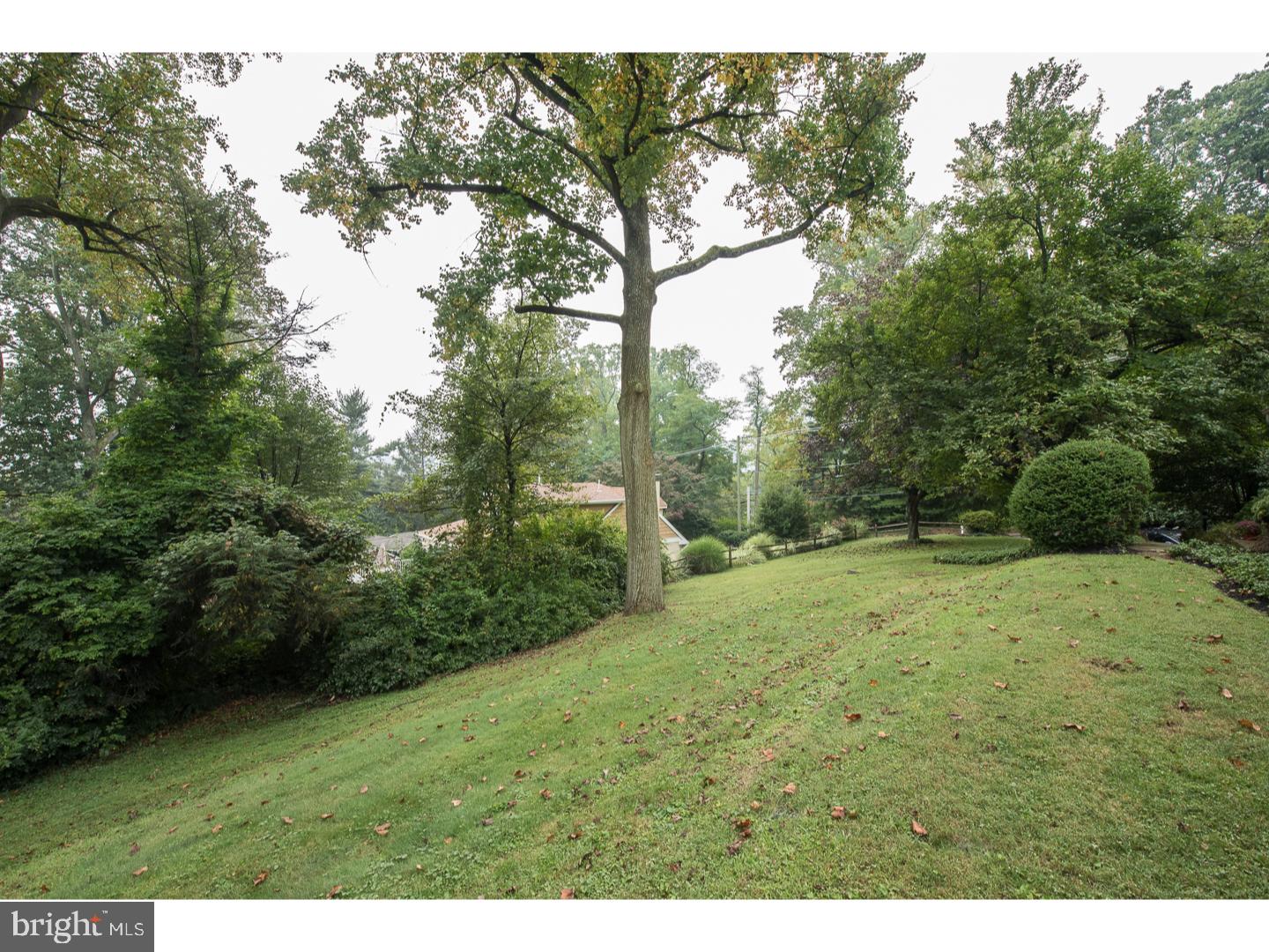 1208 County Line Road Wayne, PA 19087 - Photo 14 of 17 Back Yard
