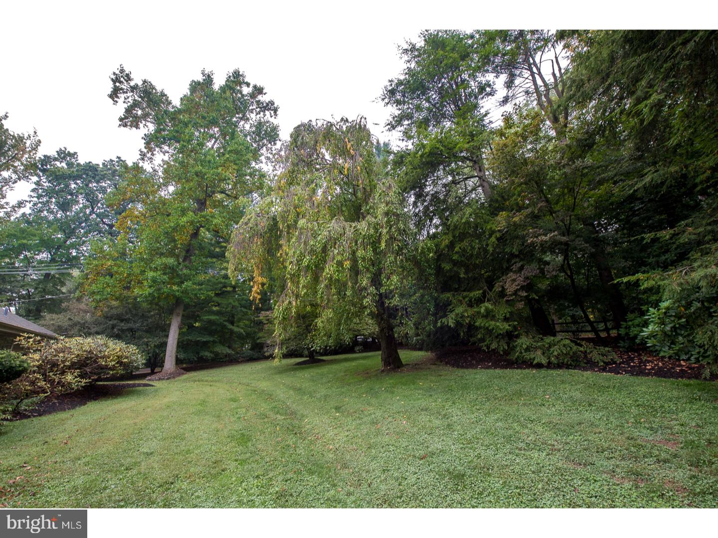 1208 County Line Road Wayne, PA 19087 - Photo 15 of 17 Side Yard