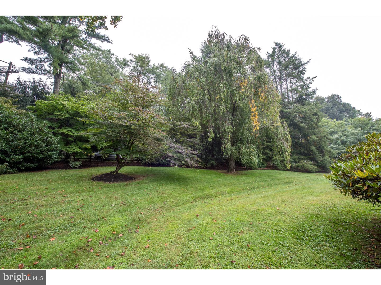 1208 County Line Road Wayne, PA 19087 - Photo 16 of 17 Side Yard