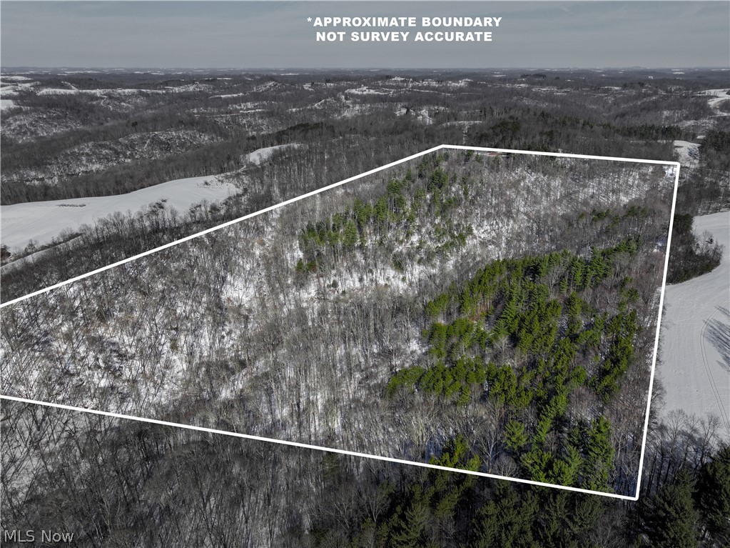 0 Tract 3 Bondi Ridge Road Woodsfield, OH 43793 - Photo 10 of 24
