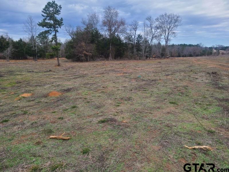 Tbd Tbd Ridgeline Loop Winona, TX 75792 - Photo 2 of 3 a view of a field with trees in the background
