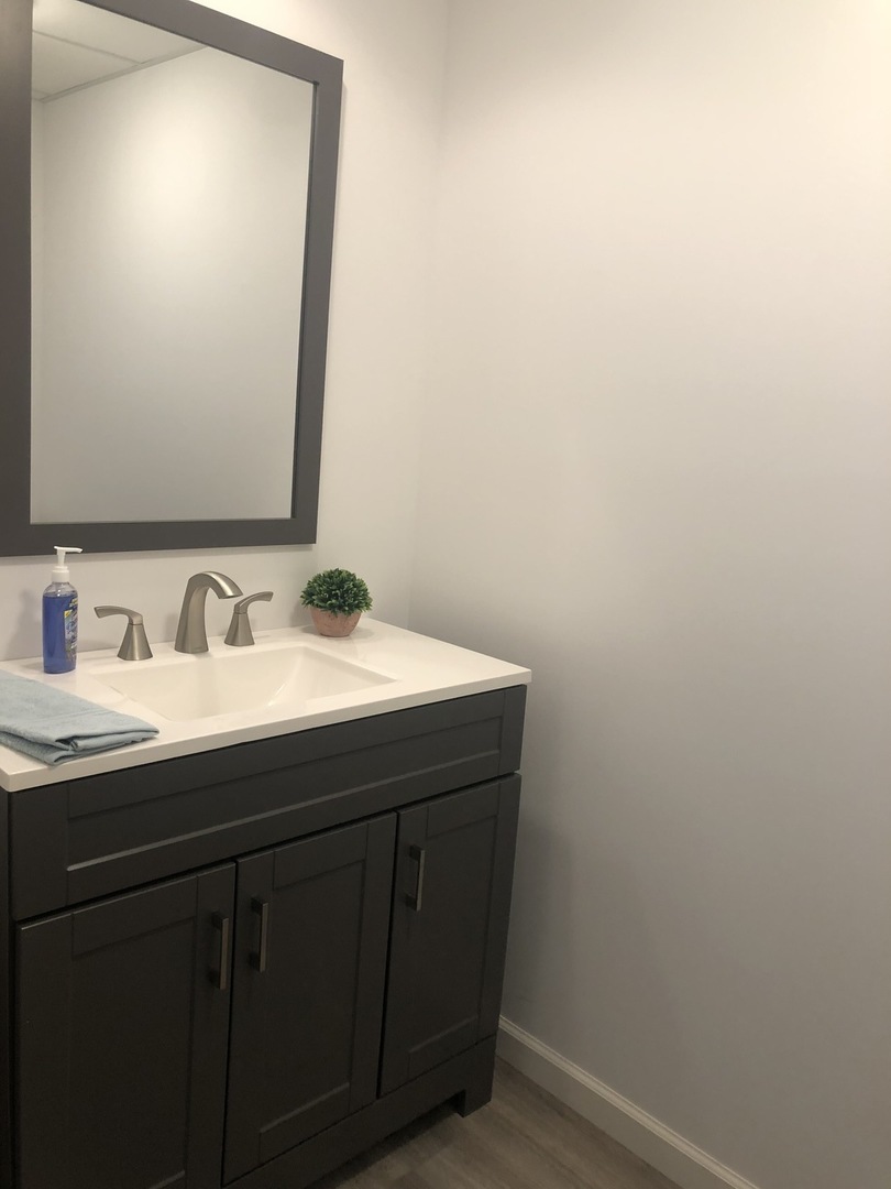 24848 South Ridge Road Elwood, IL 60421 - Photo 36 of 48 a bathroom with a sink and a mirror