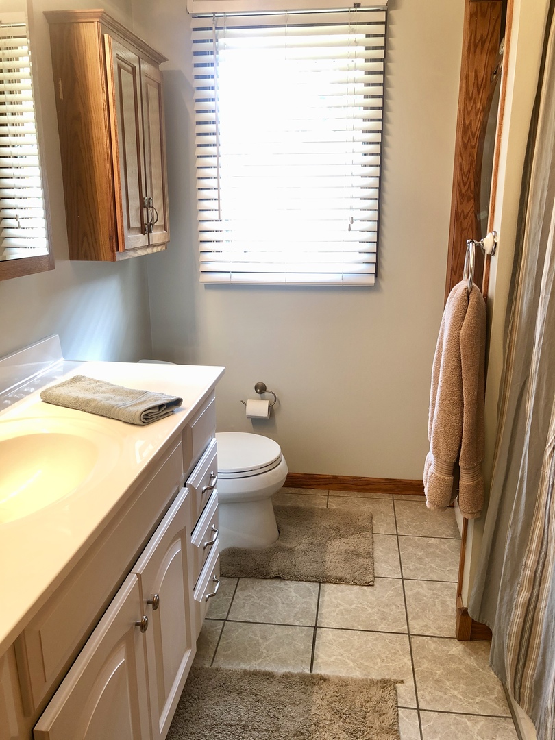 24848 South Ridge Road Elwood, IL 60421 - Photo 47 of 48 a bathroom with a sink a toilet and a window