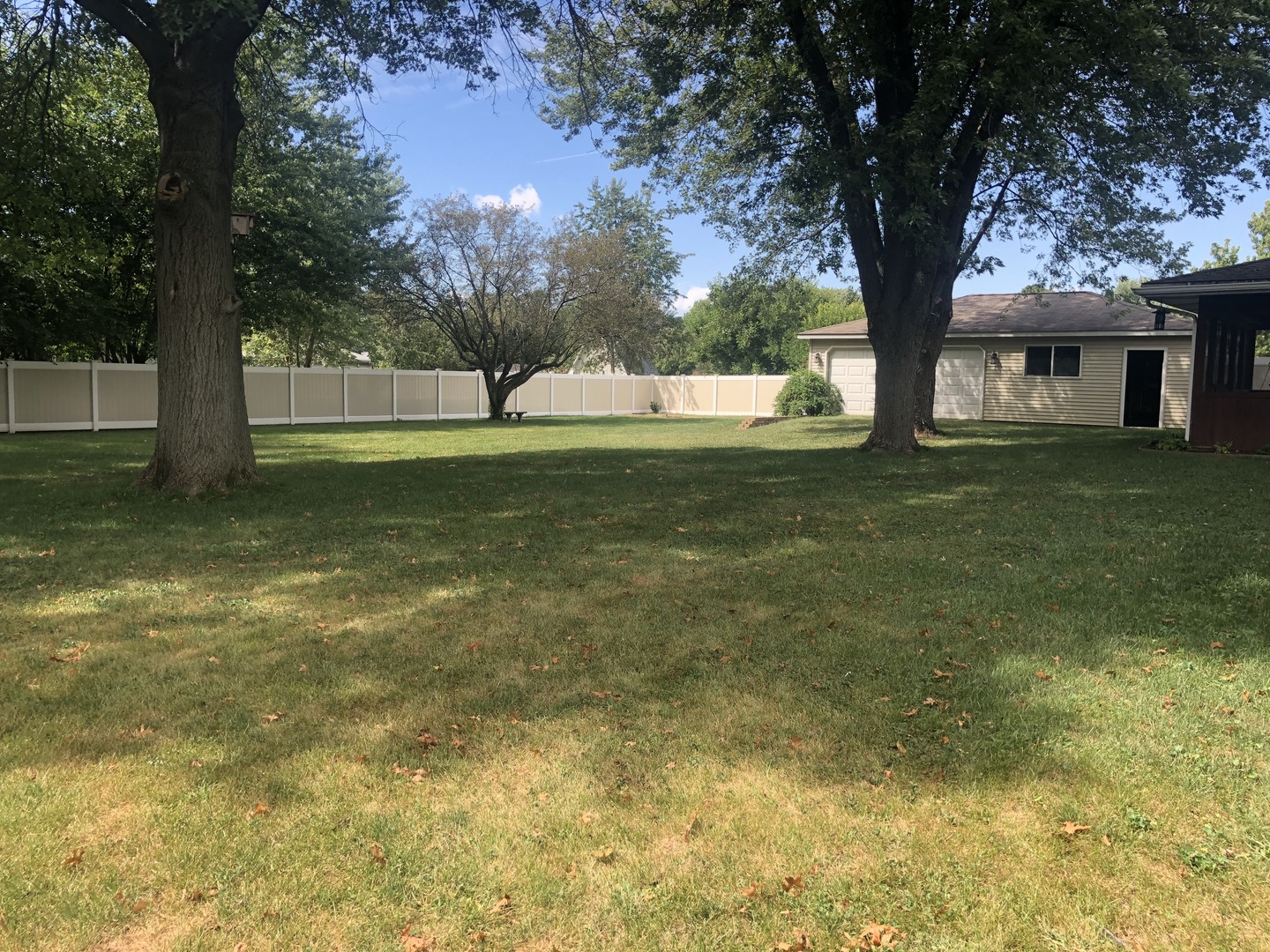 24848 South Ridge Road Elwood, IL 60421 - Photo 10 of 48 a view of a trees in front of a house with a large tree