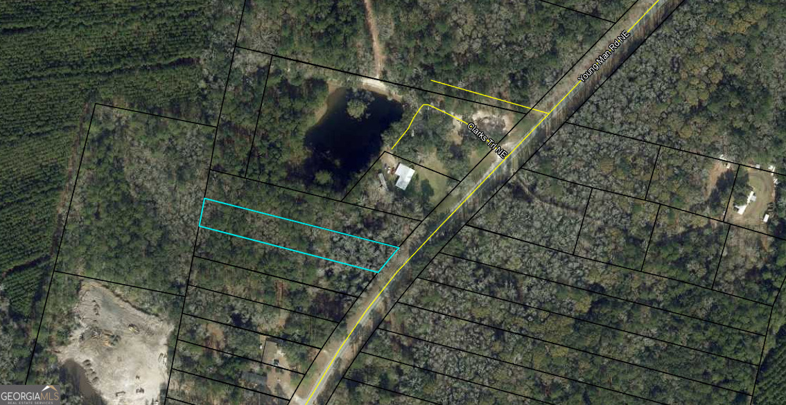 0 Youngman Road Townsend, GA 31331 - Photo 3 of 9