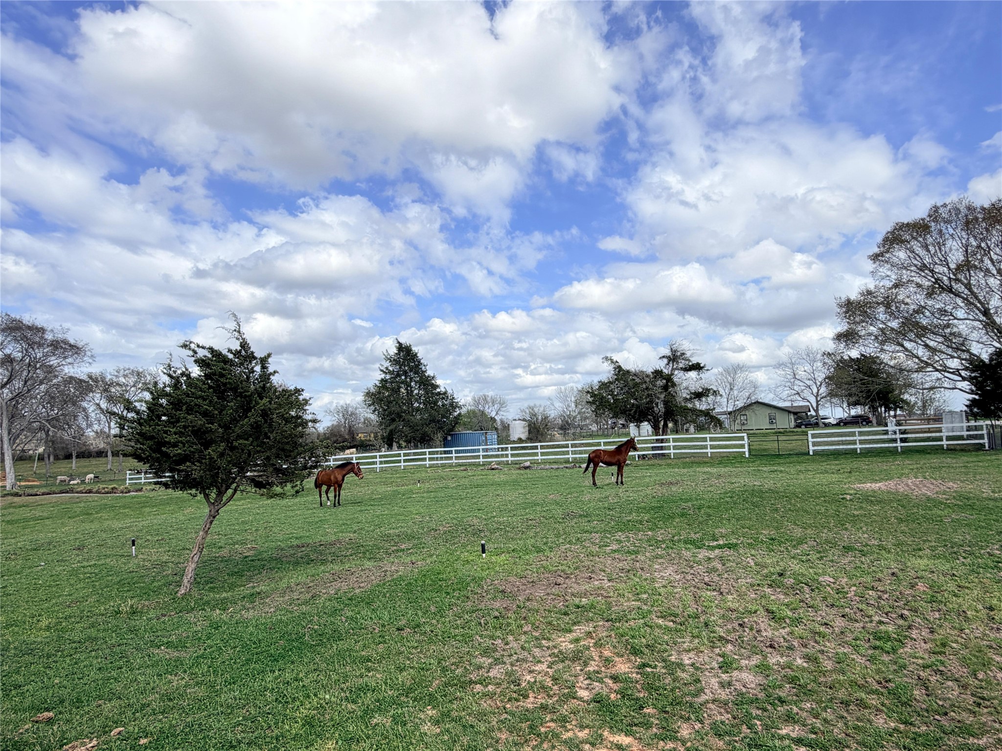 13700 Burnett Road Beasley, TX 77417 - Photo 13 of 38 a view of a park