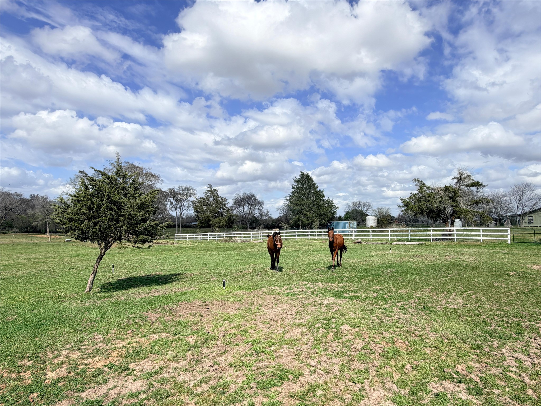 13700 Burnett Road Beasley, TX 77417 - Photo 15 of 38 a view of outdoor space with garden and entertaining space
