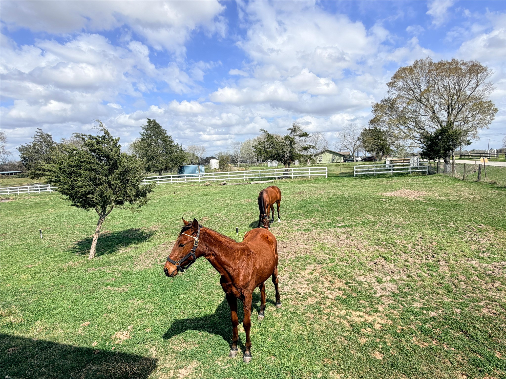 13700 Burnett Road Beasley, TX 77417 - Photo 16 of 38 a lake view with a garden