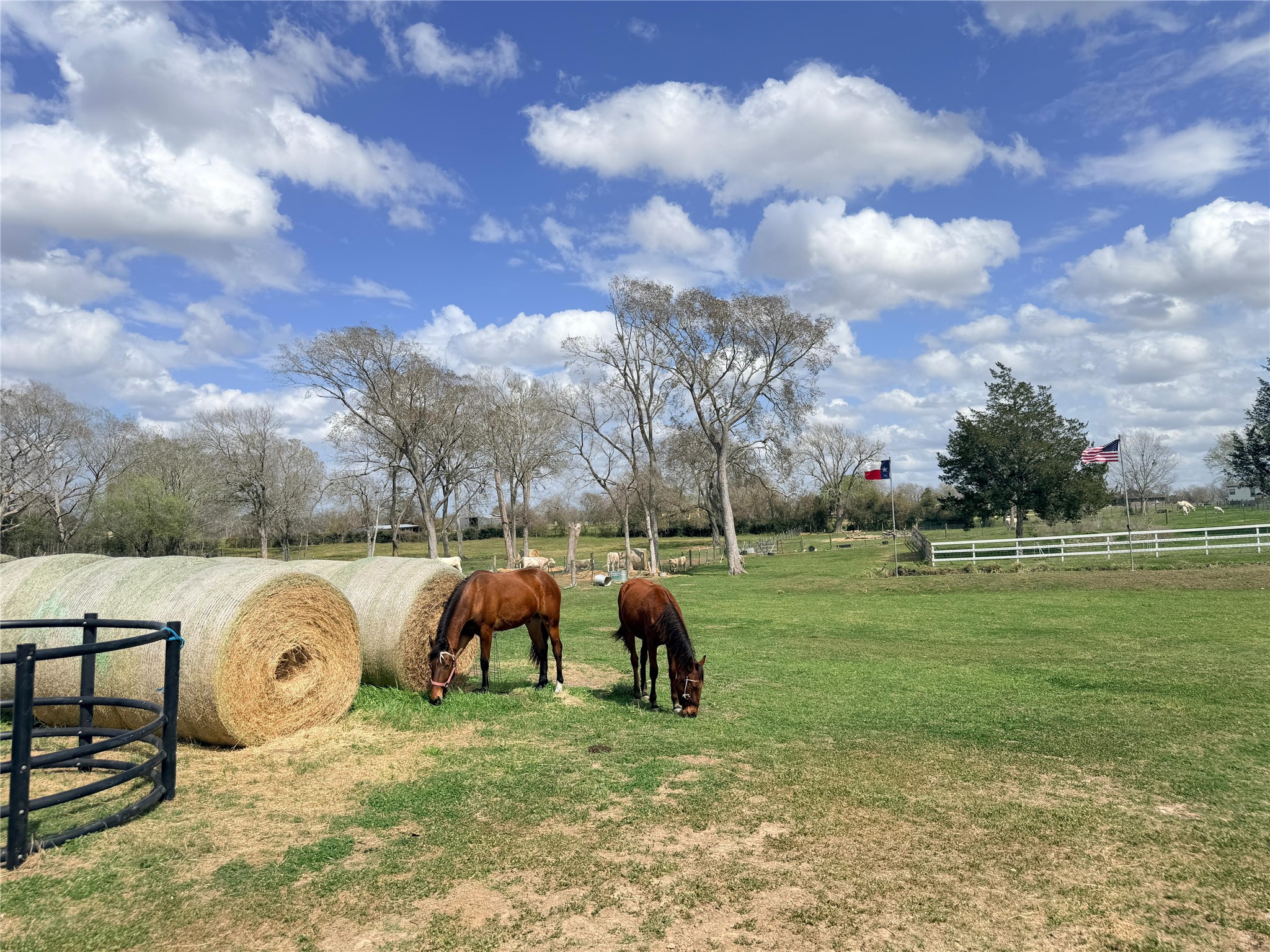 13700 Burnett Road Beasley, TX 77417 - Photo 20 of 38 a childrens park with lots of swings and slides