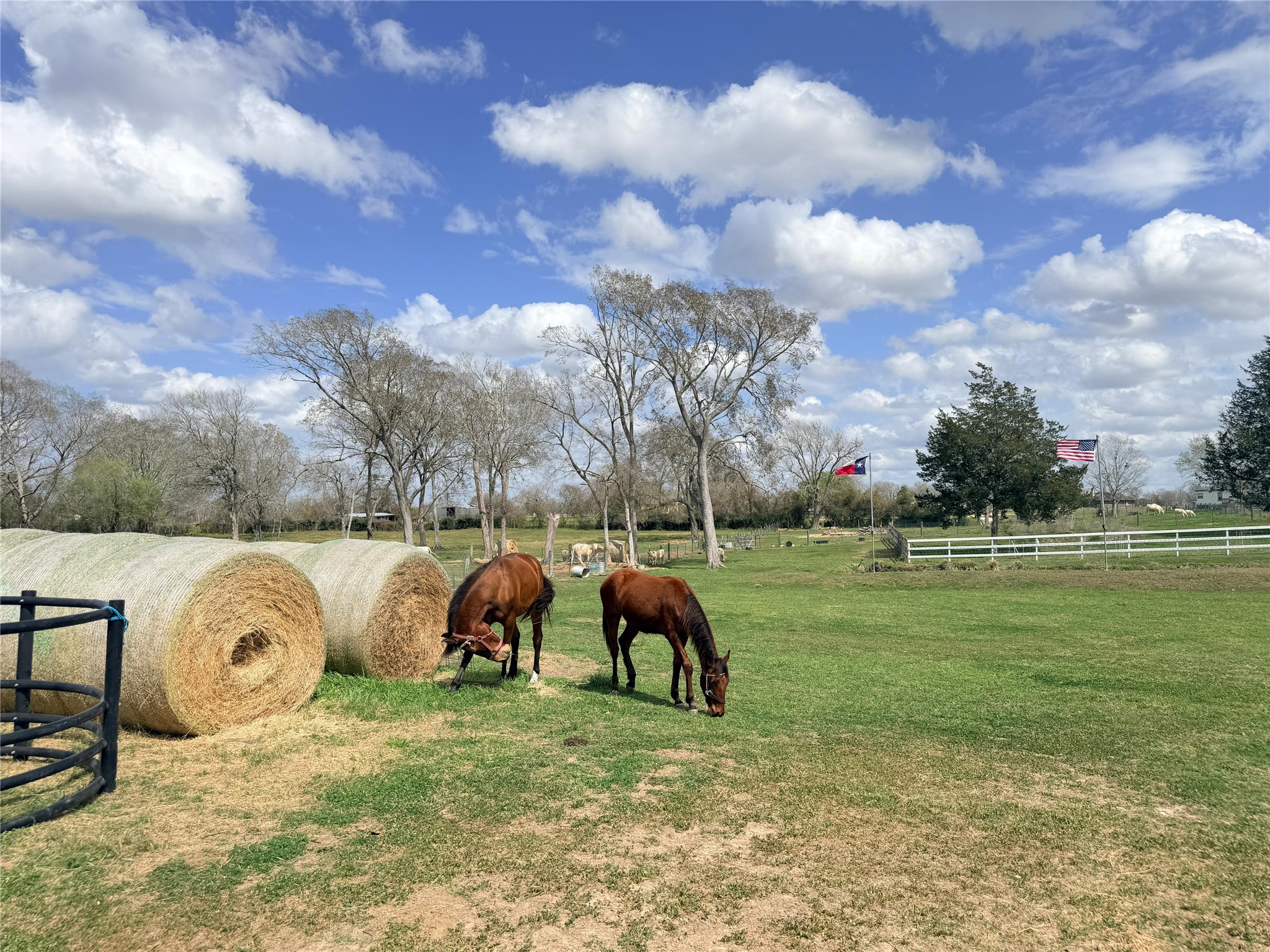 13700 Burnett Road Beasley, TX 77417 - Photo 23 of 38 a view of outdoor space with playground and green space