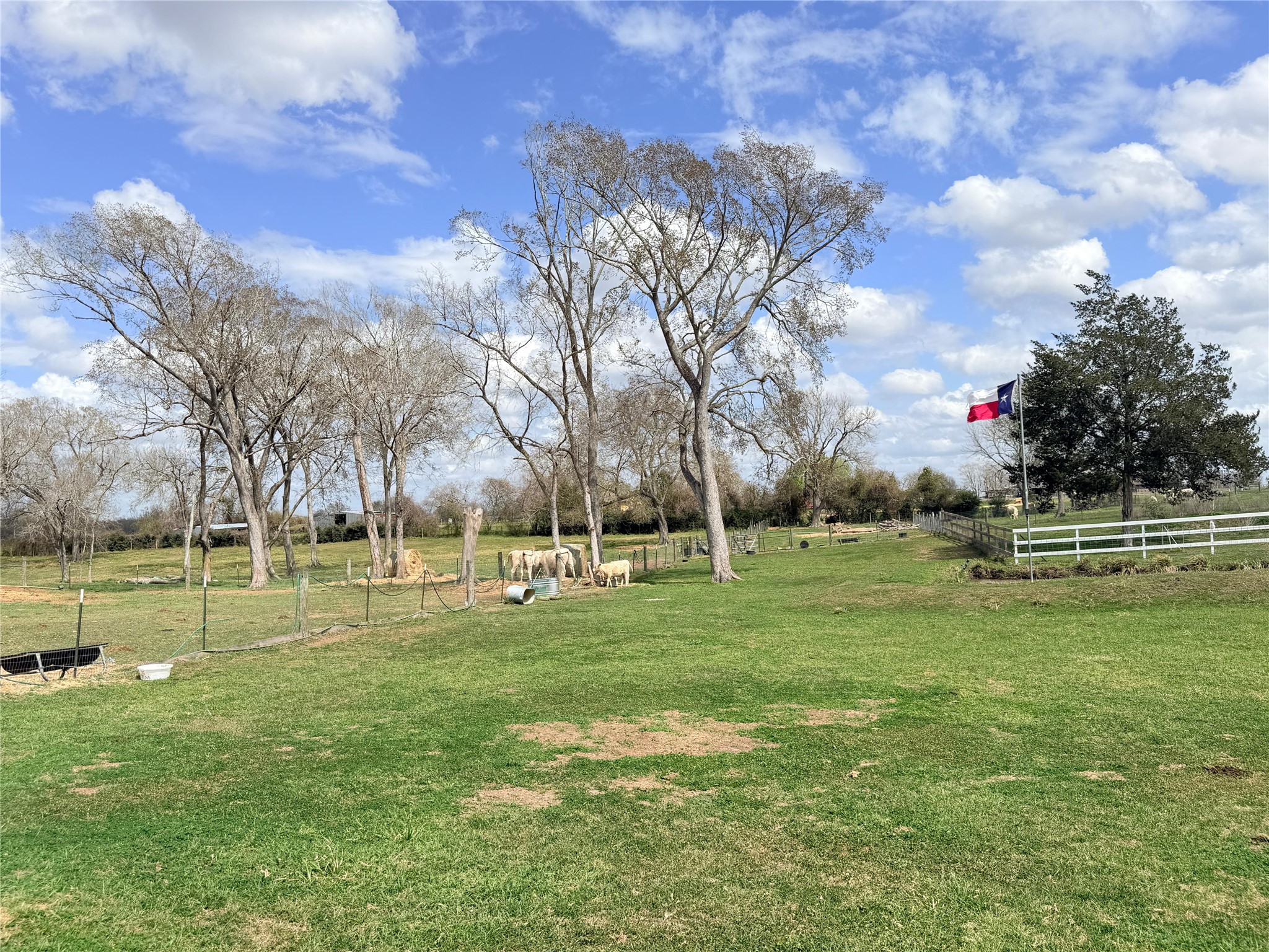 13700 Burnett Road Beasley, TX 77417 - Photo 24 of 38 a view of a park