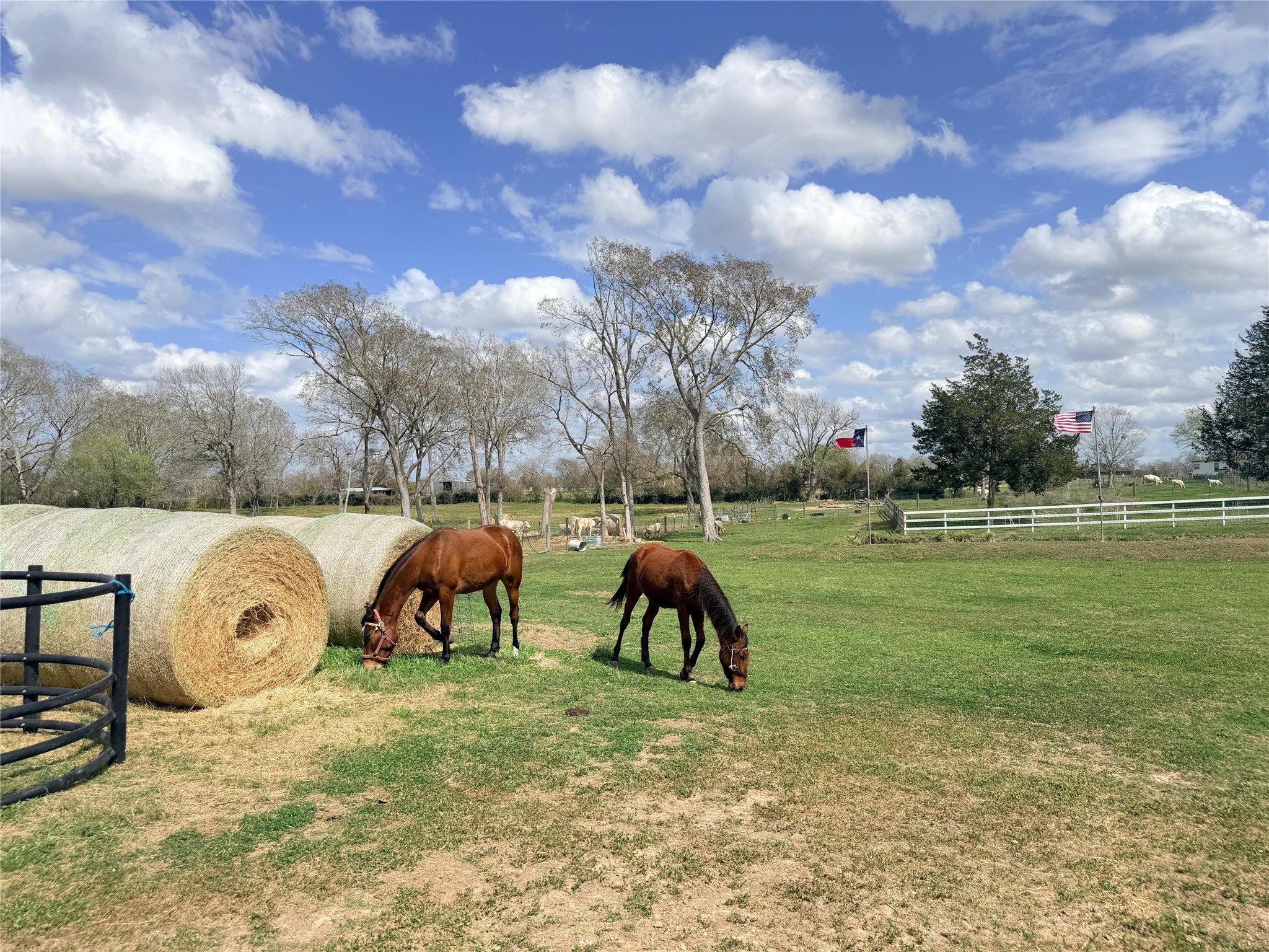 13700 Burnett Road Beasley, TX 77417 - Photo 25 of 38 a view of outdoor space with playground and green space