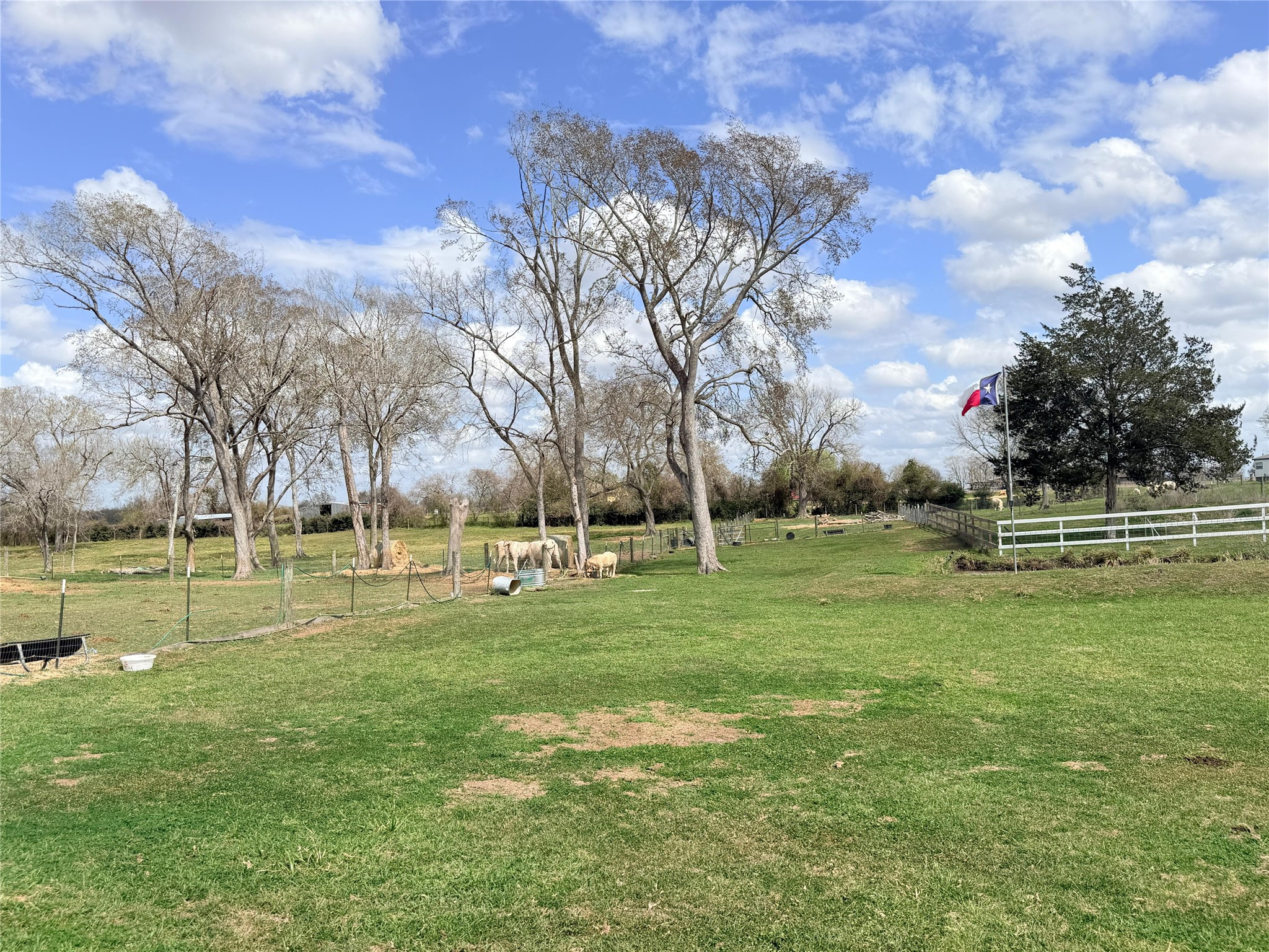13700 Burnett Road Beasley, TX 77417 - Photo 26 of 38 a view of a park