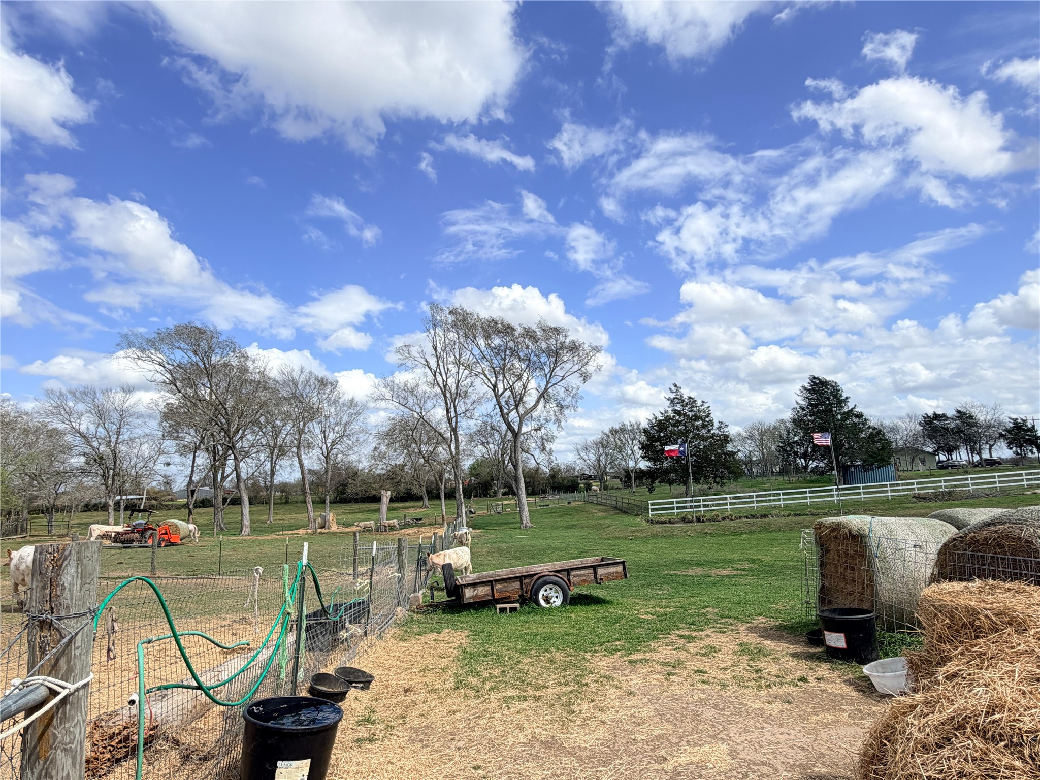 13700 Burnett Road Beasley, TX 77417 - Photo 27 of 38 a view of a lake with a yard