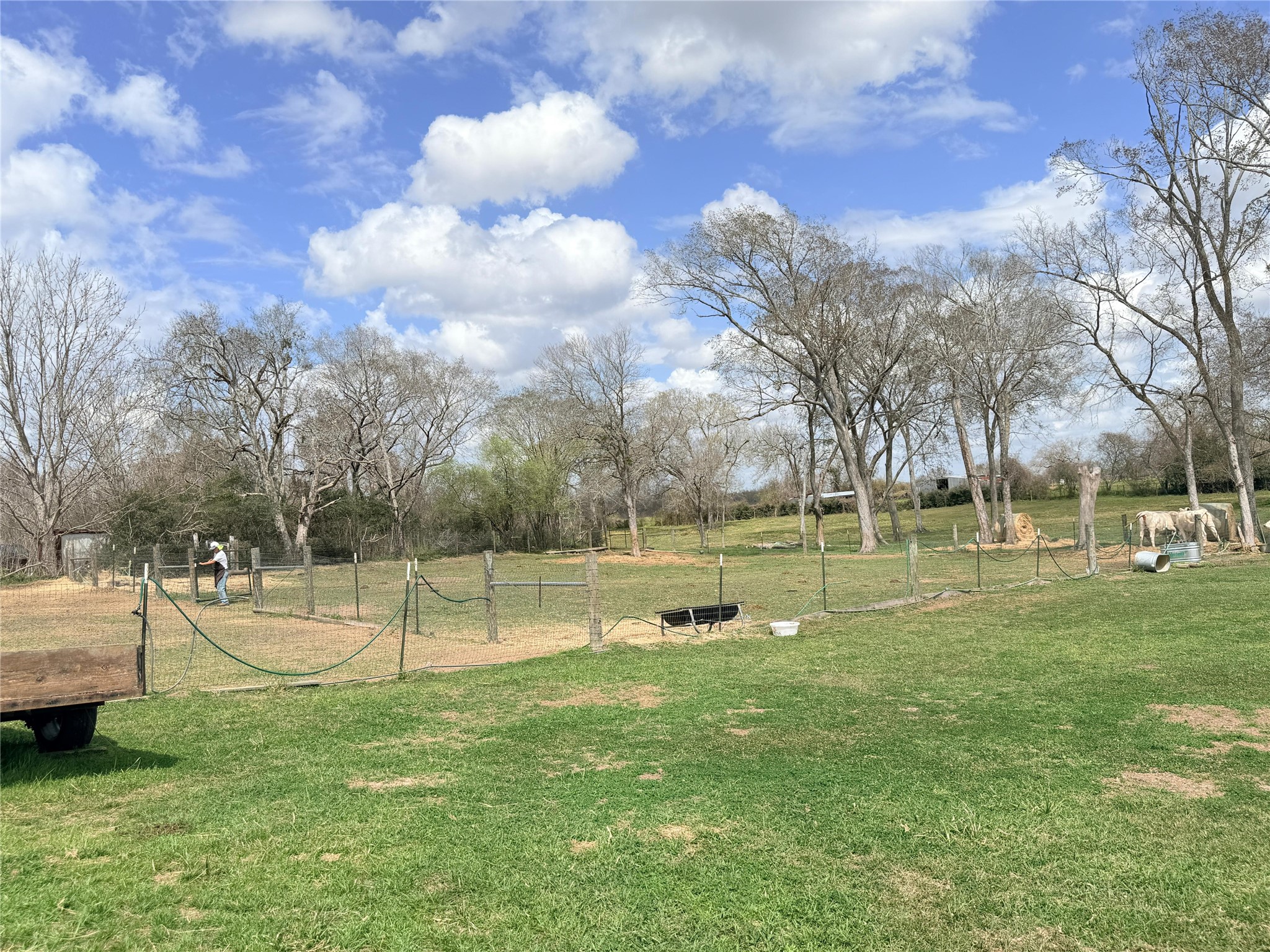 13700 Burnett Road Beasley, TX 77417 - Photo 29 of 38 a view of outdoor space with garden