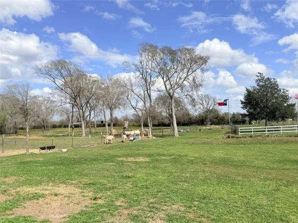a view of a park with large trees