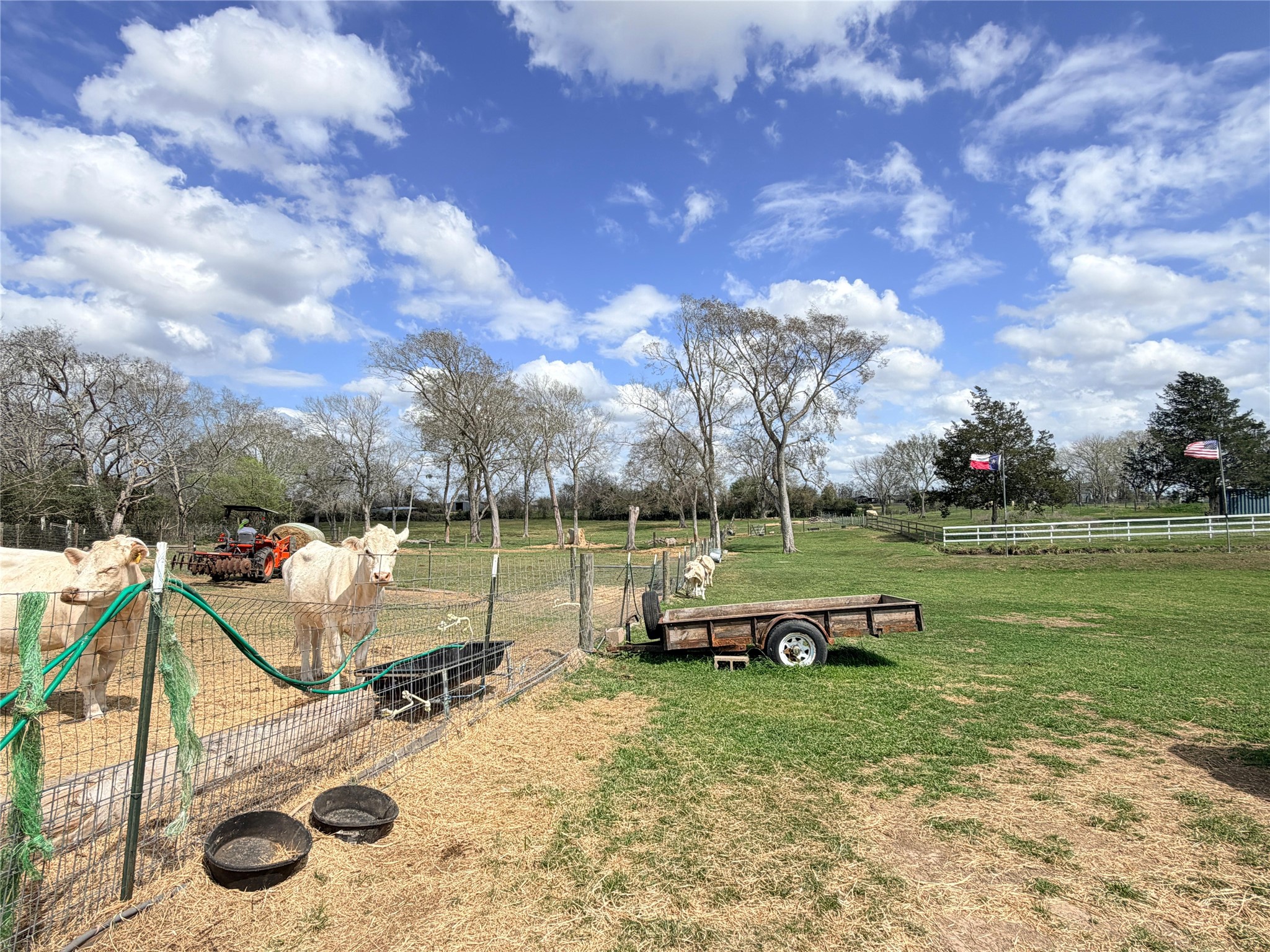 13700 Burnett Road Beasley, TX 77417 - Photo 32 of 38 a view of a park with large trees