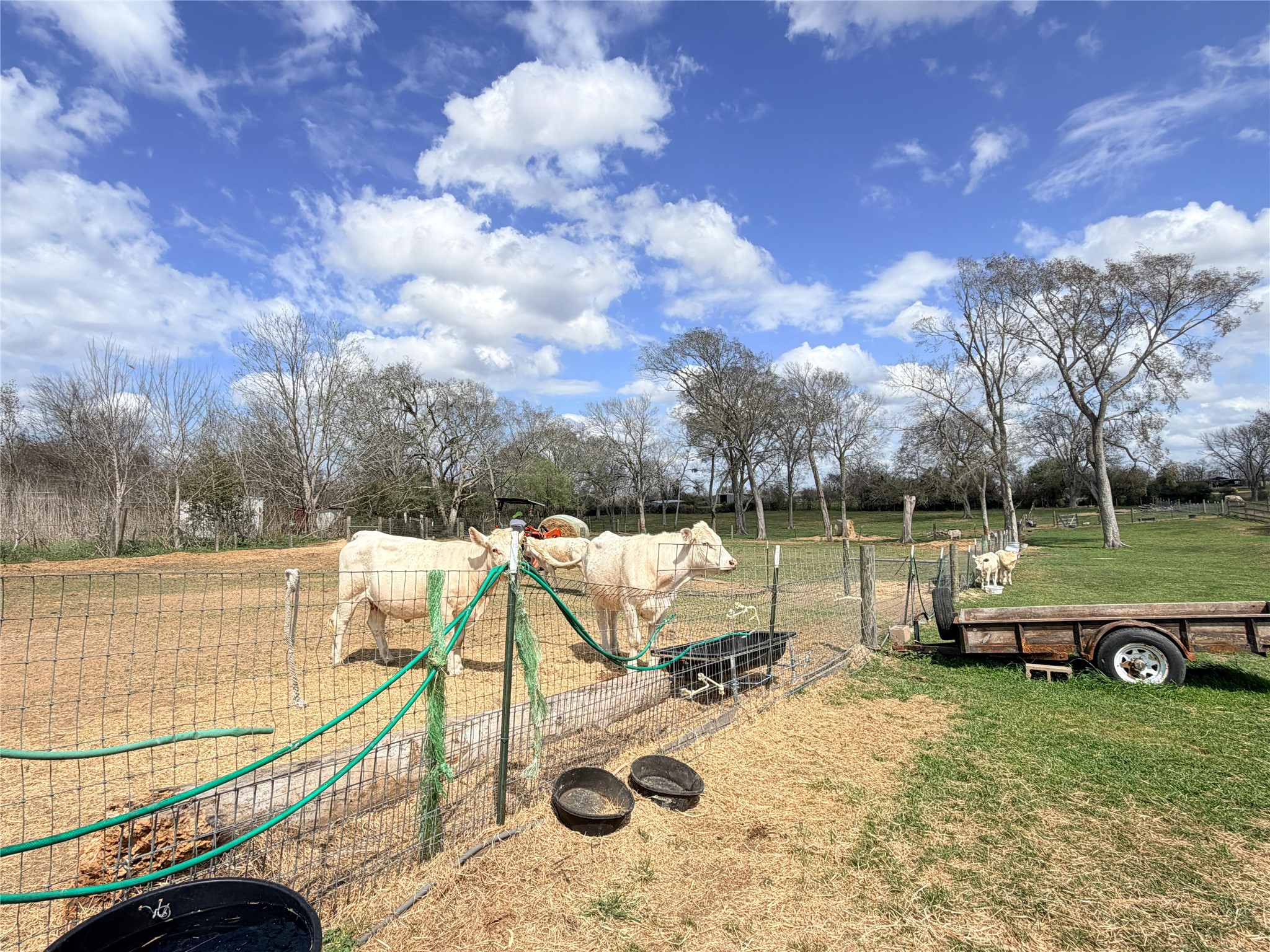13700 Burnett Road Beasley, TX 77417 - Photo 34 of 38 a view of a house with a yard