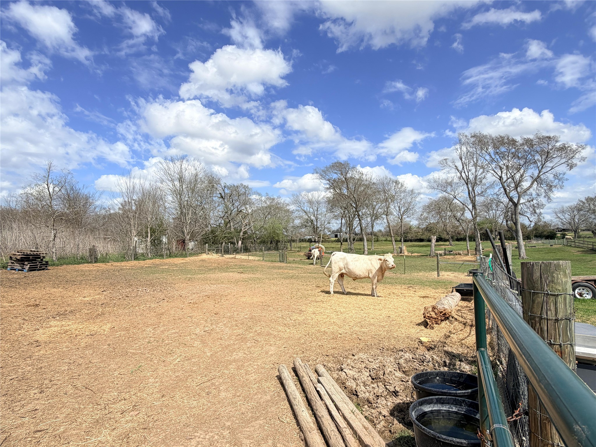 13700 Burnett Road Beasley, TX 77417 - Photo 35 of 38 a view of a lake with a yard