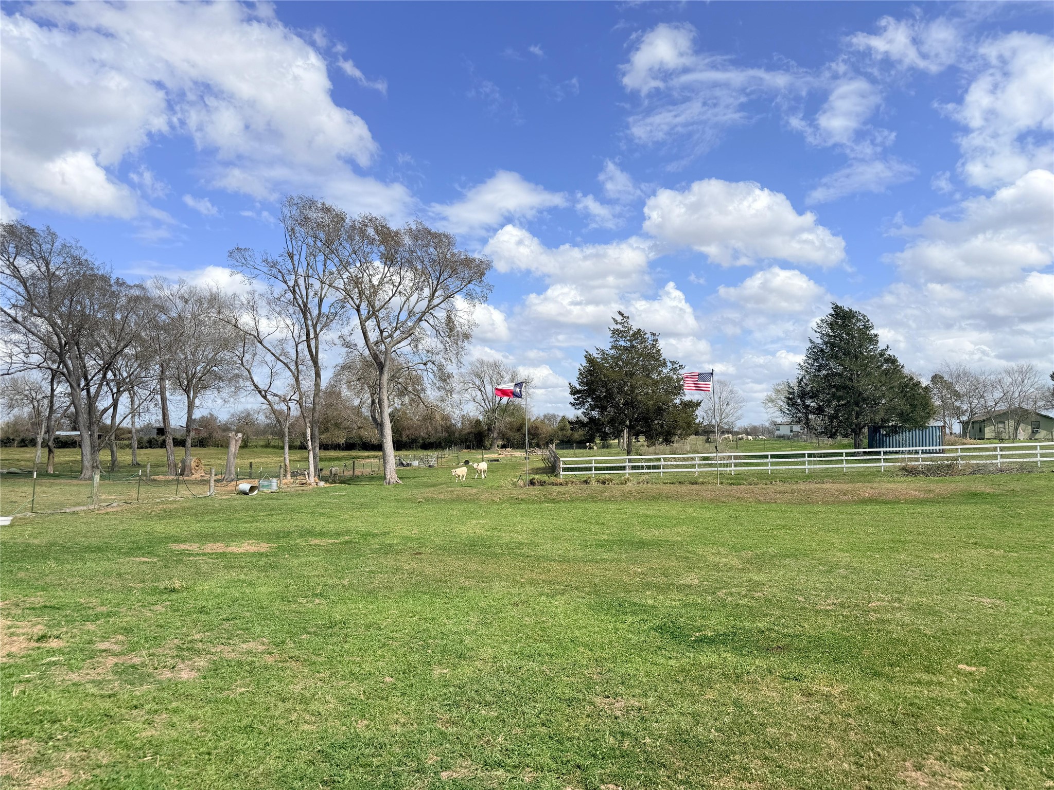 13700 Burnett Road Beasley, TX 77417 - Photo 36 of 38 a view of a golf course with a lake