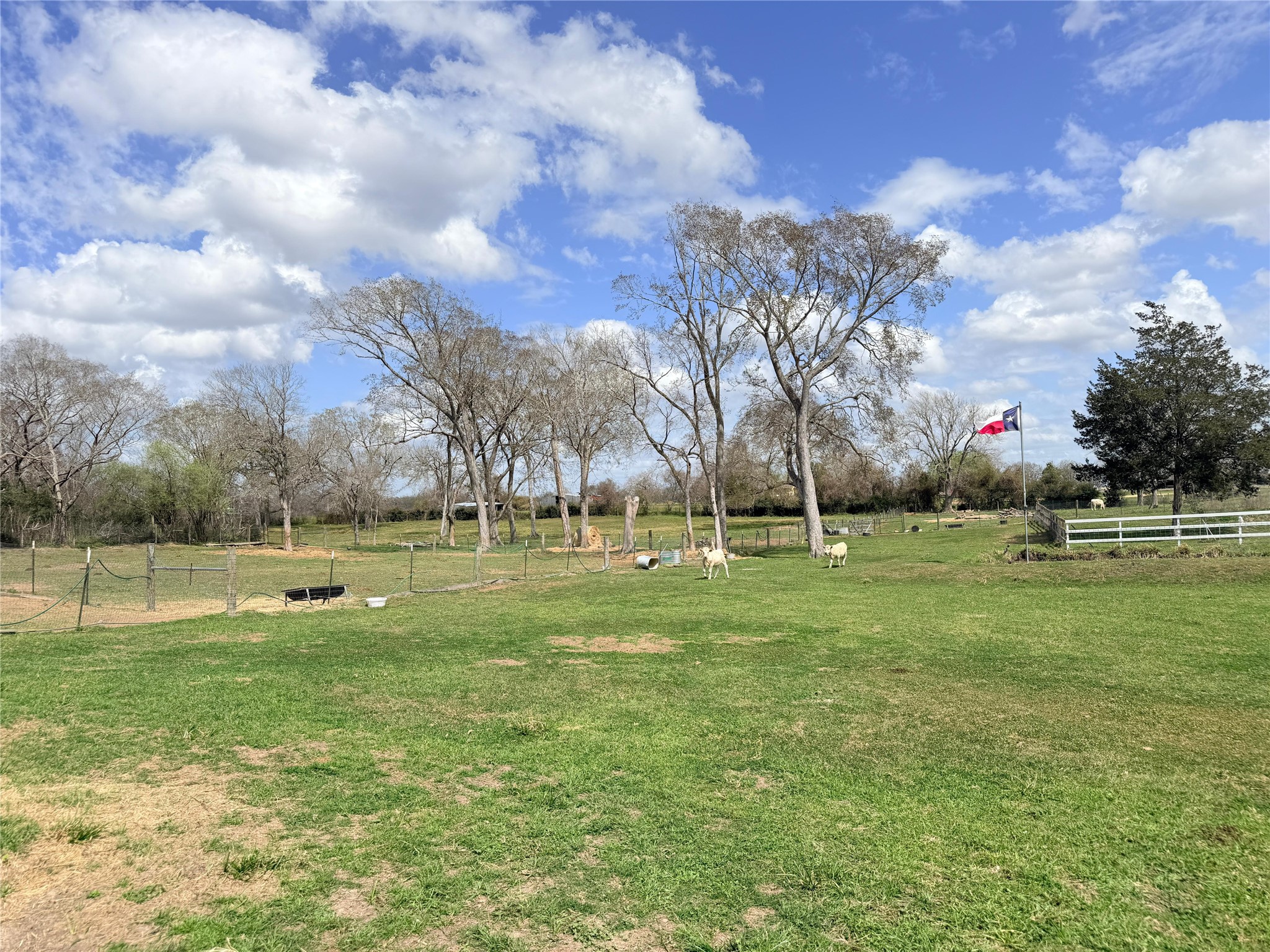 13700 Burnett Road Beasley, TX 77417 - Photo 37 of 38