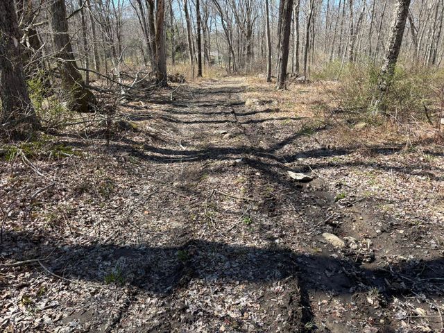 a view of a backyard of the house