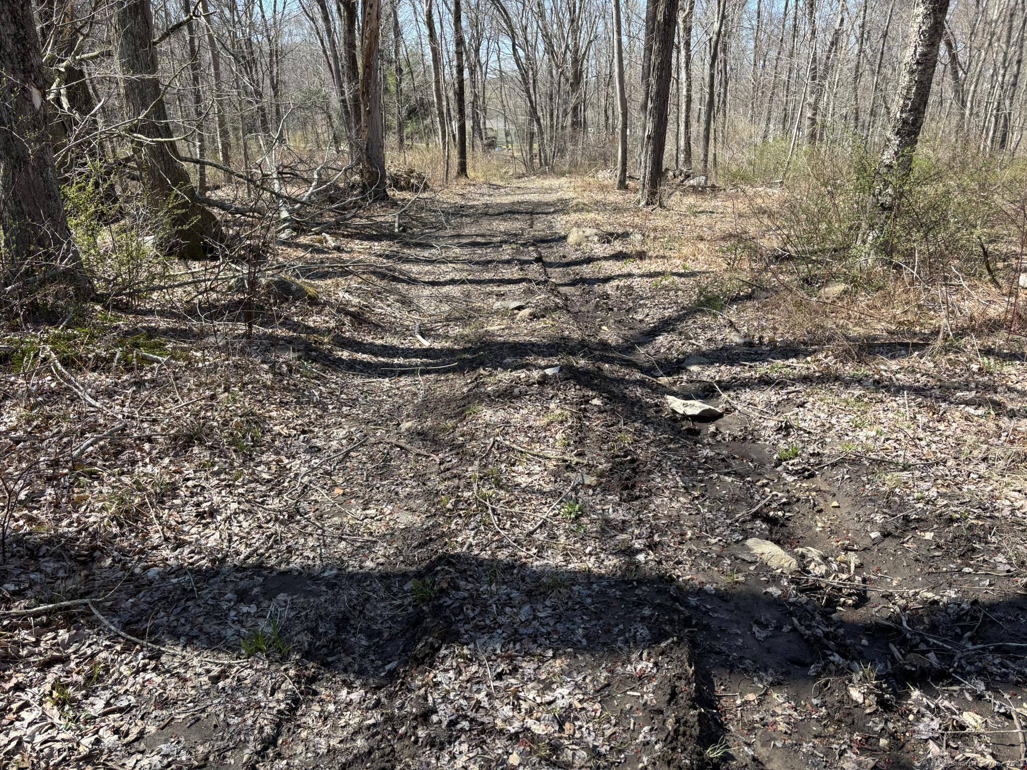 64 Whippoorwill Road Old Lyme, CT 06371 - Photo 3 of 8 a view of a yard with trees