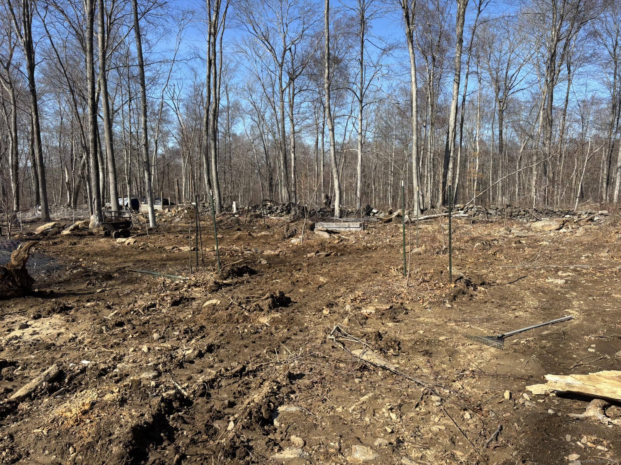 64 Whippoorwill Road Old Lyme, CT 06371 - Photo 5 of 8 a view of a backyard of the house